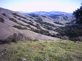 orinda2.jpg