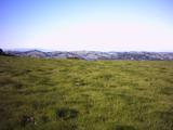 orinda3.jpg