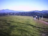 orinda4.jpg