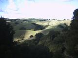 pleasanton2.jpg