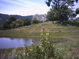 sanfelipe_pond.jpg