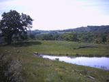 sanfelipe_pond2.jpg