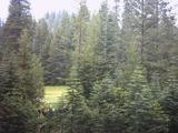summit_meadow1.jpg