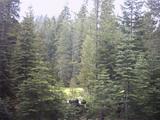 summit_meadow2.jpg