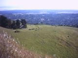 windyhill2.jpg