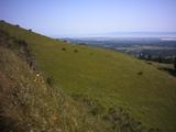 windyhill3.jpg