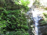 mp4/bigbasin1529.mp4