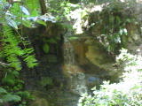 mp4/bigbasin1531.mp4