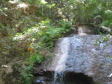 mp4/bigbasin1536.mp4