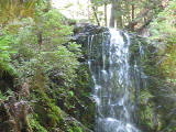 mp4/bigbasin1539.mp4