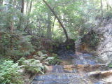 mp4/bigbasin1542.mp4