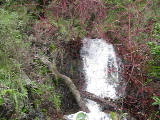 mp4/bigrock2849.mp4