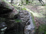 mp4/bigrock3316.mp4